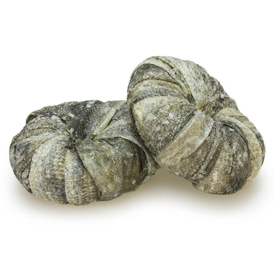 Aros masticables con Bacalao - Arquivet