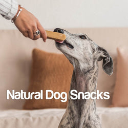 Chicken Sandwich - Arquivet