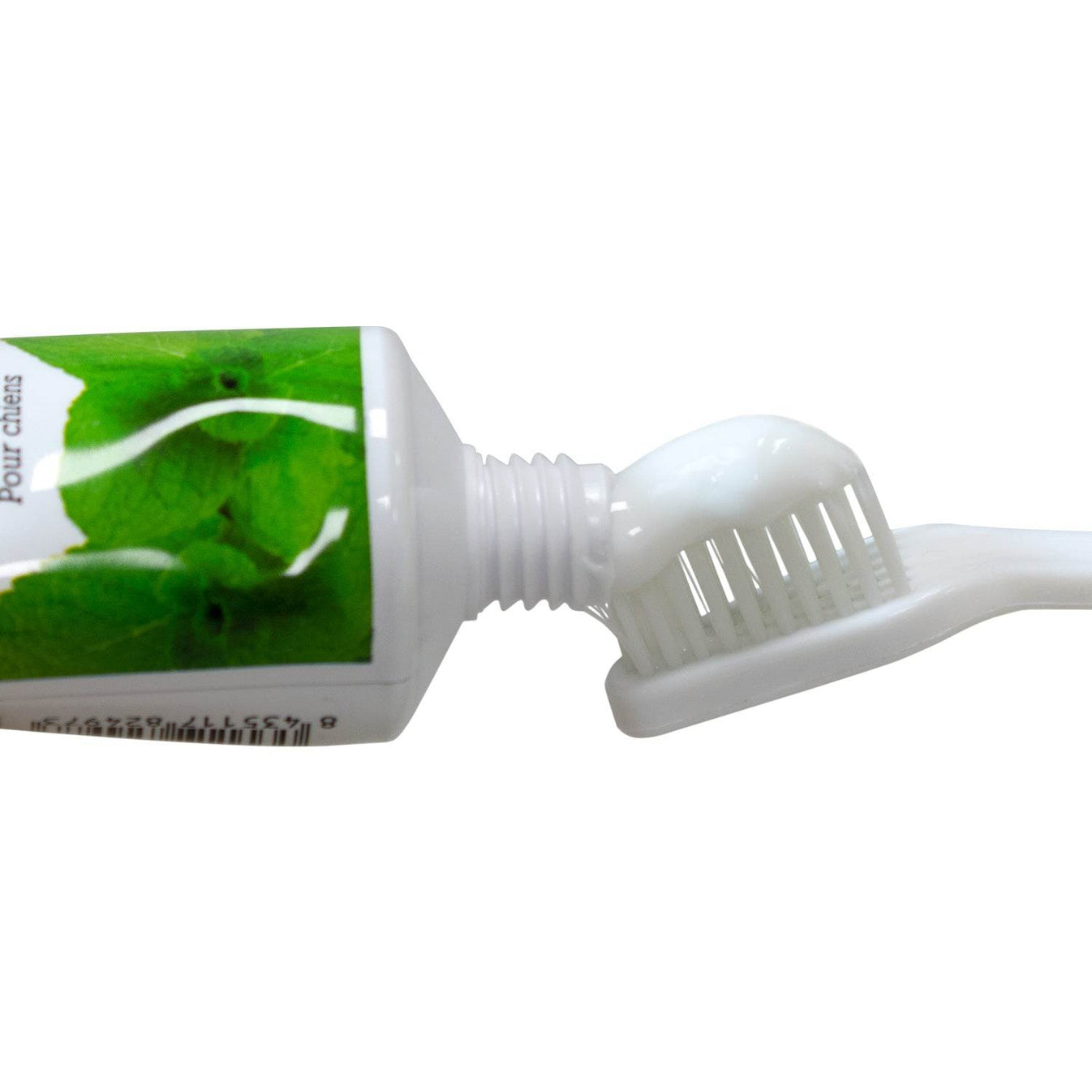 Dentífrico con aroma - Arquivet