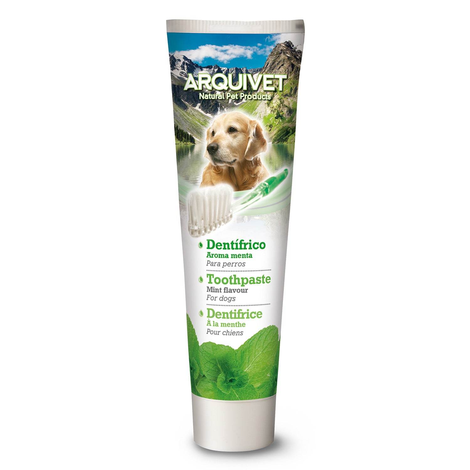 Scented Toothpaste Mint-scented toothpaste
