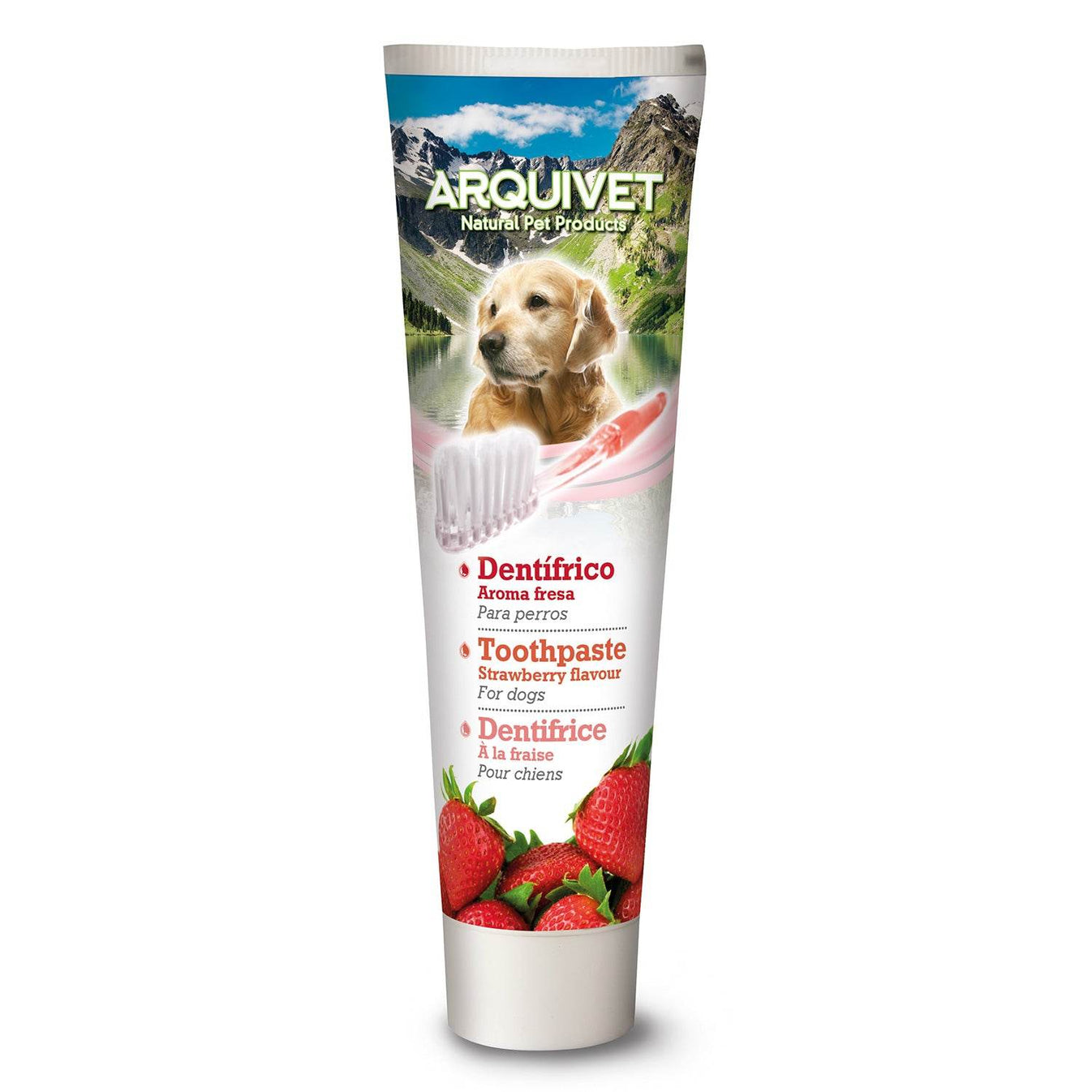 Set dental con aroma - Arquivet
