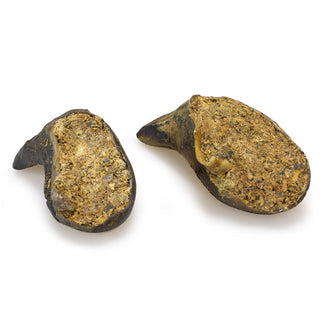 Pezuña de búfalo rellena - Arquivet