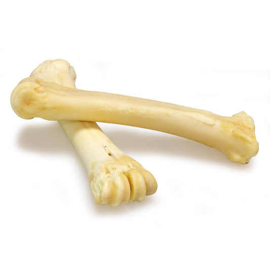 Huesos de Calcio de búfalo 18-25cm - Caja expositora de 16 unidades - 4.000 gr - Arquivet