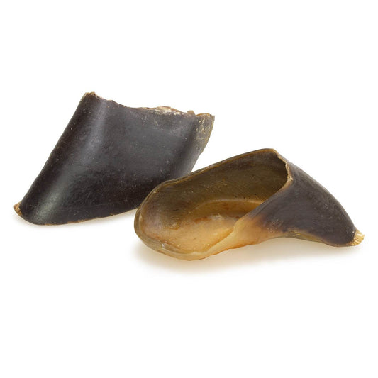 Pezuña de búfalo (840 g) - Arquivet