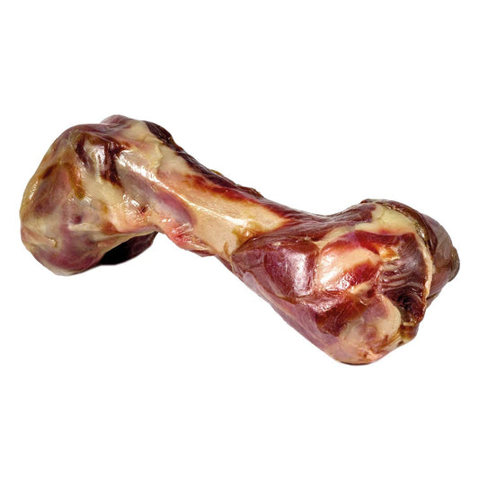 Hueso de jamón serrano - Arquivet