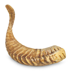 Ram's Horn
