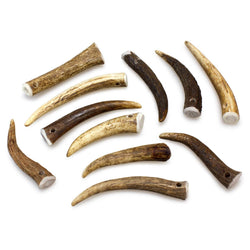Bois de cerf - Arquivet