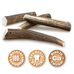 Bois de cerf - Arquivet