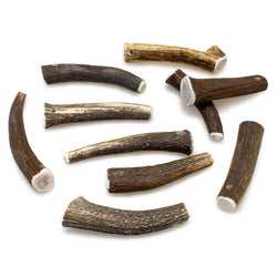 Bois de cerf - Arquivet