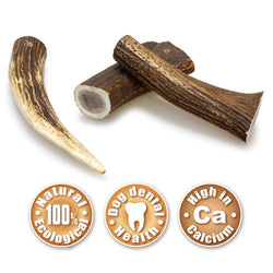 Bois de cerf - Arquivet