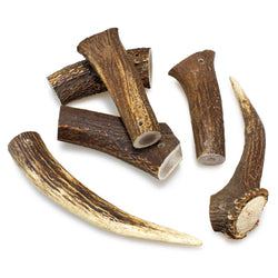 Bois de cerf - Arquivet