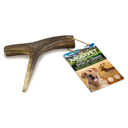 Bois de cerf - Arquivet