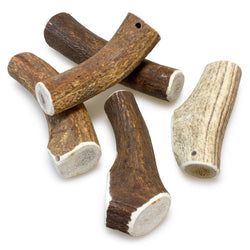 Bois de cerf - Arquivet