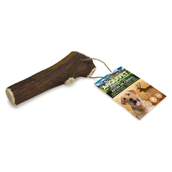 Bois de cerf - Arquivet