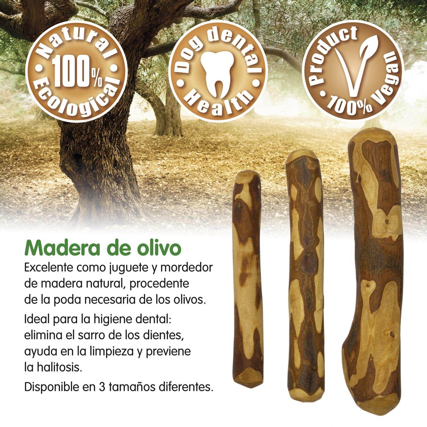 Madera de olivo - Arquivet