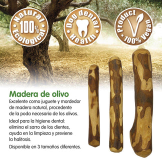 Madera de olivo - Arquivet