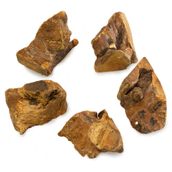 Heather Root - Arquivet