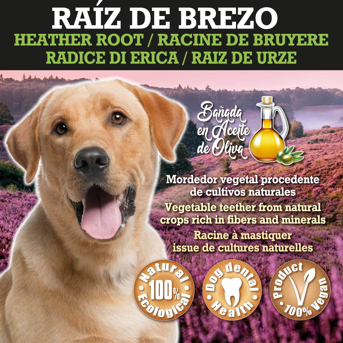 Raíz de Brezo - Arquivet