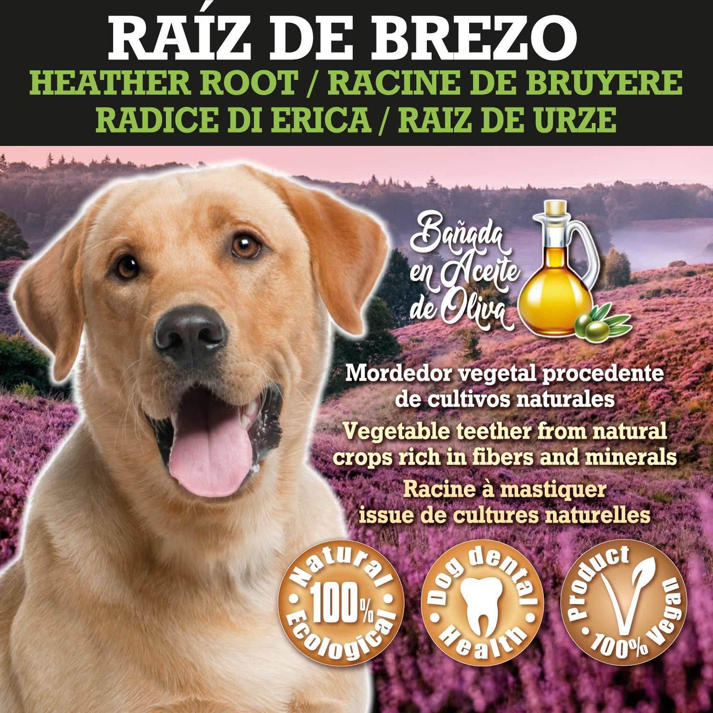 Raíz de Brezo - Arquivet
