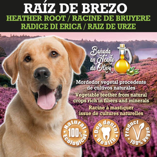 Raíz de Brezo - Arquivet