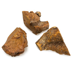 Heather Root - Arquivet