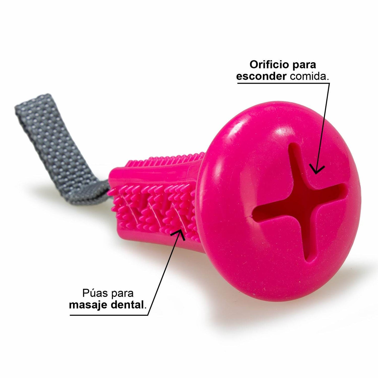 Cepillo dental con tirador - Arquivet