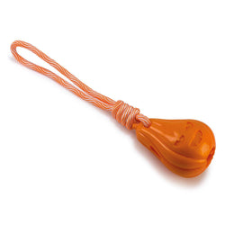 Calabaza con cuerda - Arquivet [ERROR]