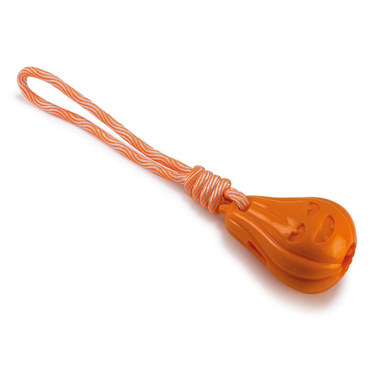 Calabaza con cuerda - Arquivet