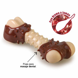 Ham-flavored bone - Arquivet