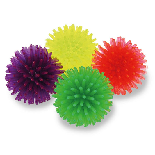 Pelota erizo - Arquivet