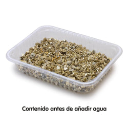Hierba para gatos en bandeja 100 gr - Arquivet