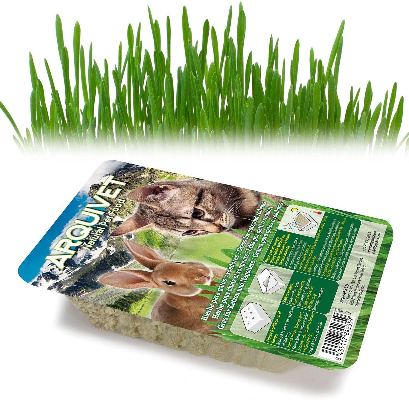 Hierba para gatos en bandeja 100 gr - Arquivet