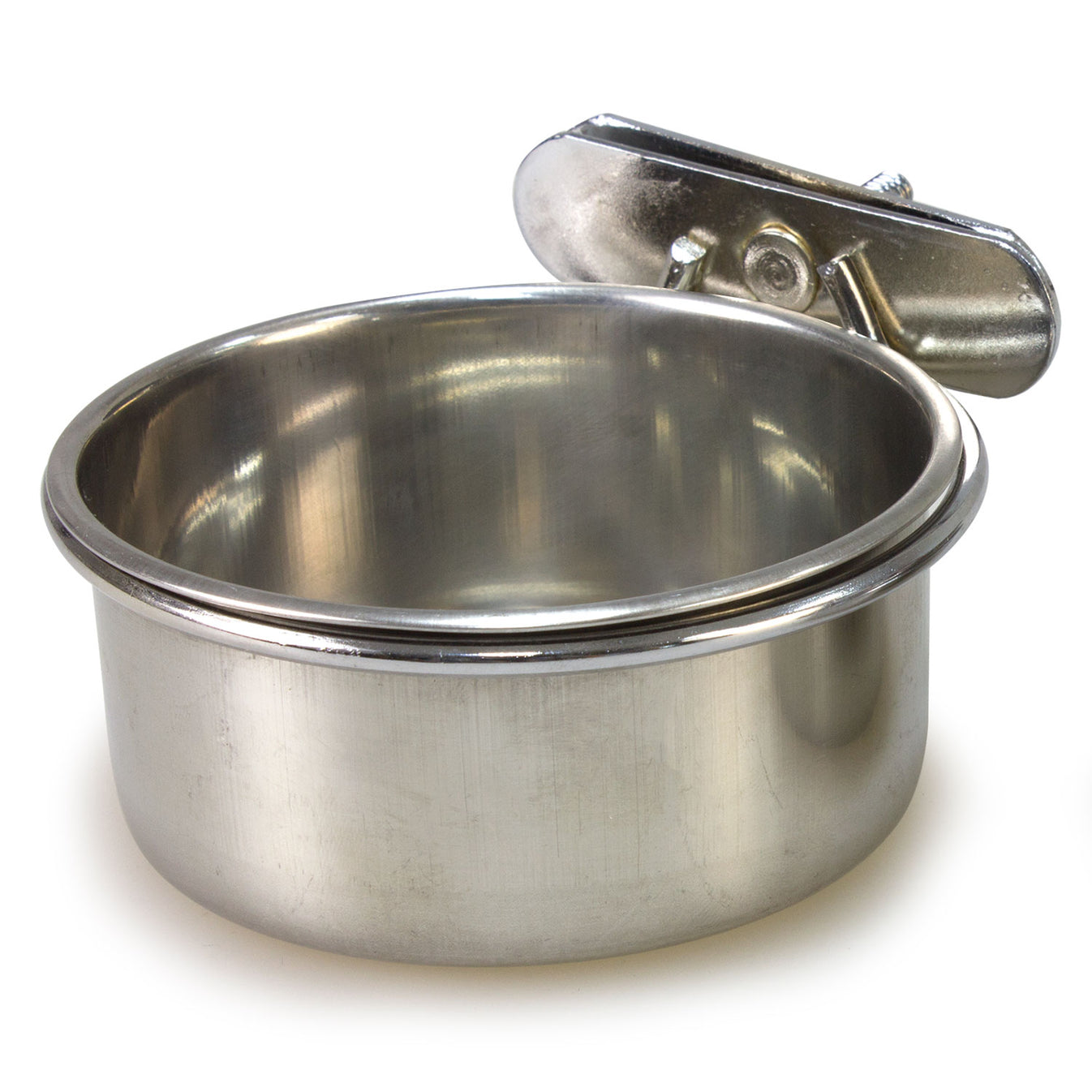 Stainless steel parrot feeder with popcorn