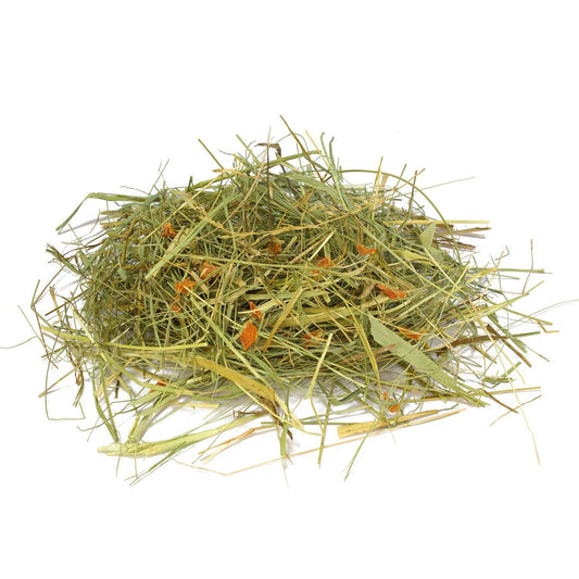 Heno con zanahoria 500 gr - Arquivet