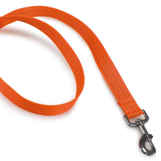 Correa de nylon naranja - Arquivet