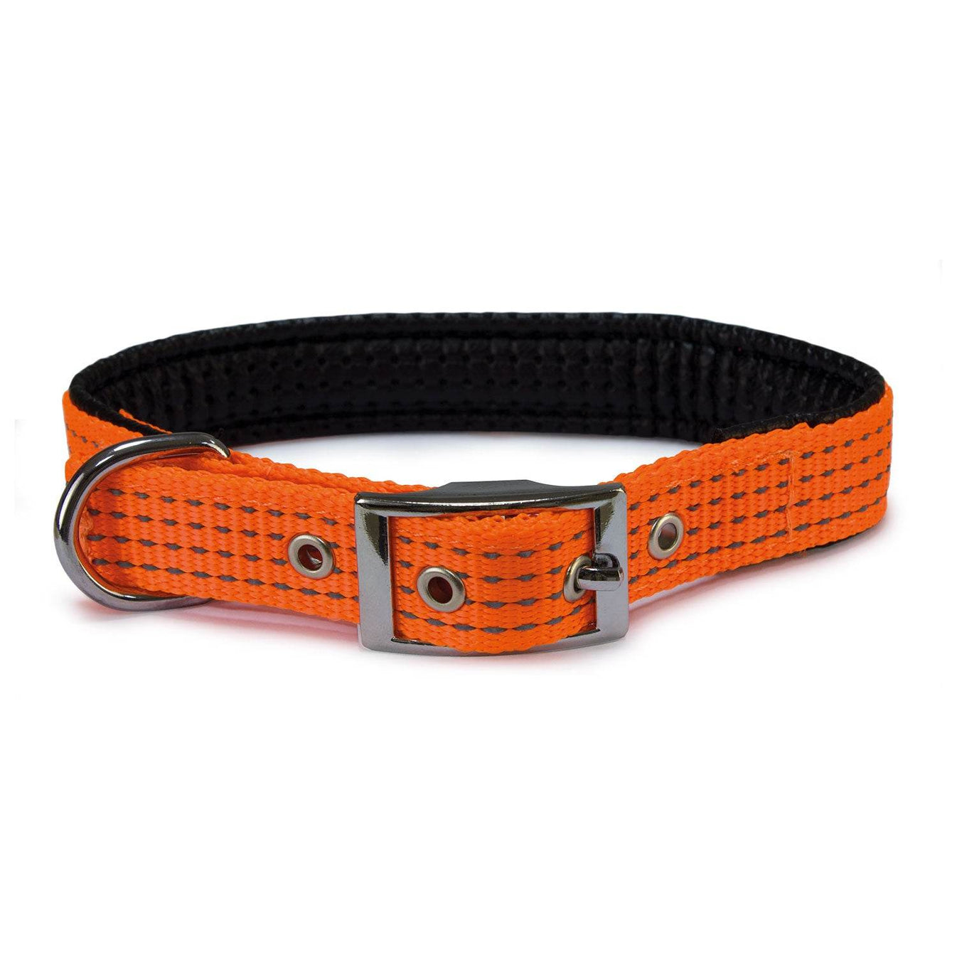 Collares de nylon - Arquivet