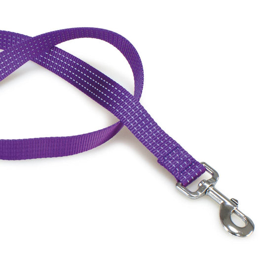 Correa de nylon morada - Arquivet