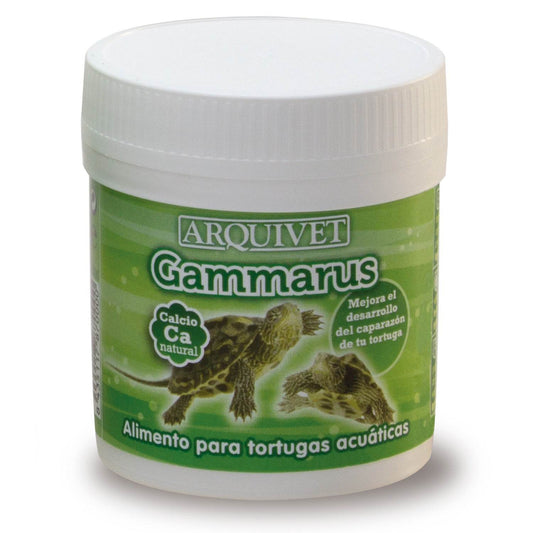Gammarus - Arquivet