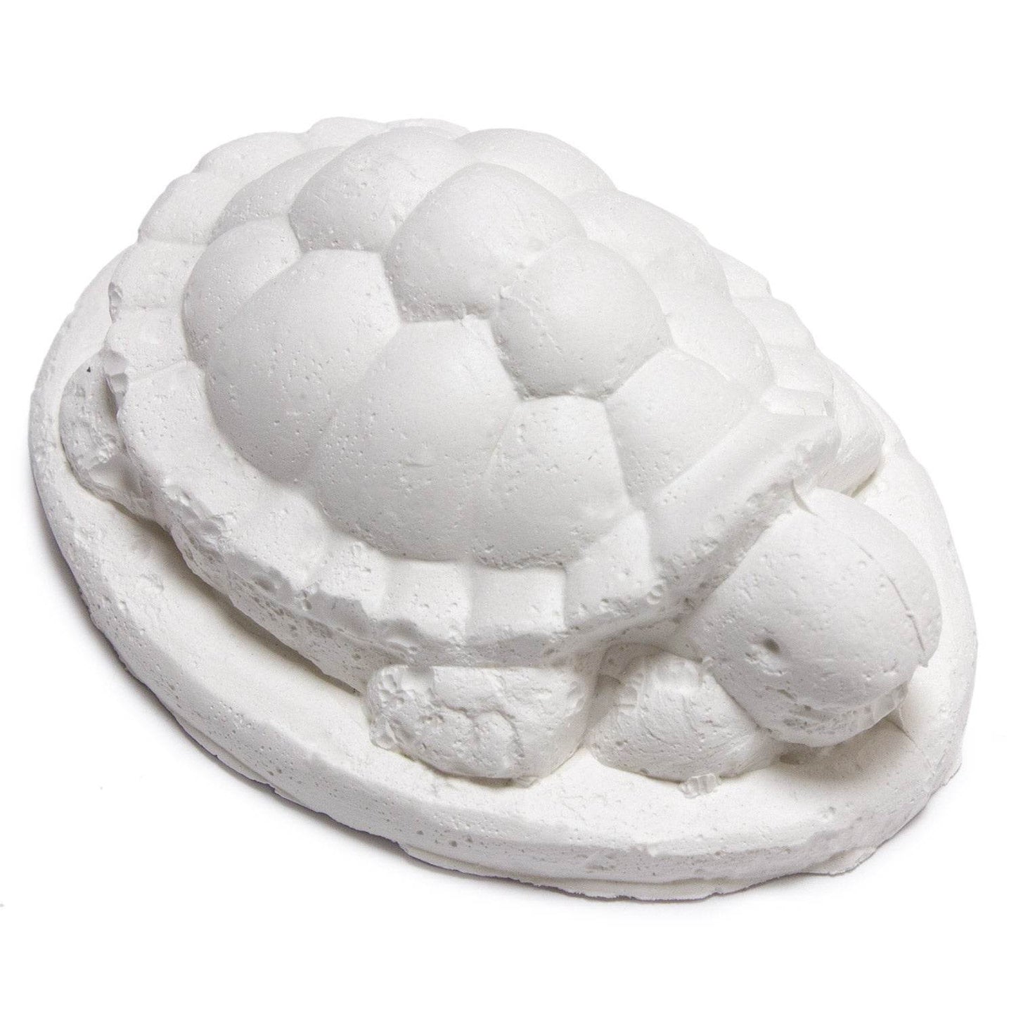 Calcio para tortugas (caja 24 uds * 30 gr) - Arquivet