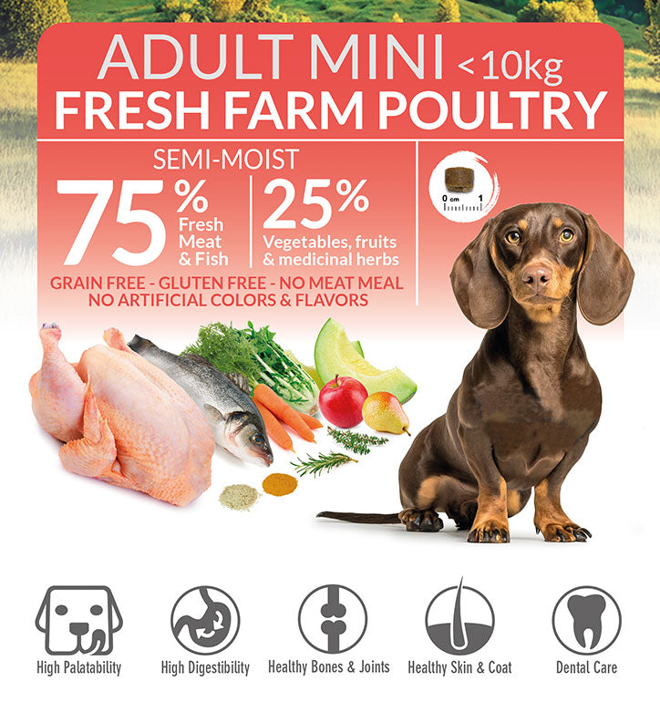 Aliment semi-humide au Poulet fermier frais pour chiens de races mini – Fresh