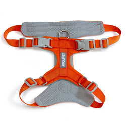 Roma Light Harness - Orange
