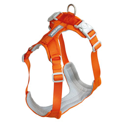 Roma Light Harness - Orange