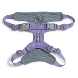 Roma Light Harness - Purple
