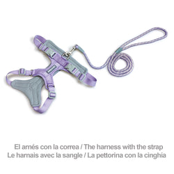 Roma Light Harness - Purple