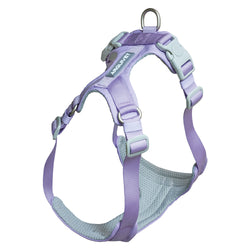 Roma Light Harness - Purple