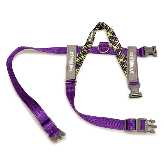 Arnés Xtreme Dog "Piemonte" - Lila