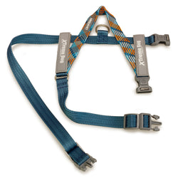 Arnés Xtreme Dog "Piemonte" - Azul