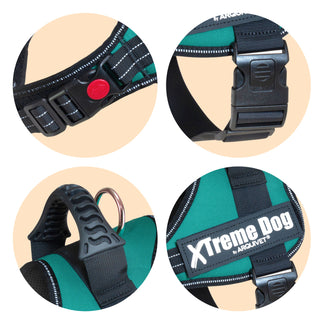 Arnés Xtreme Dog - Verde esmeralda