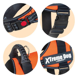 Arnés Xtreme Dog - Arquivet