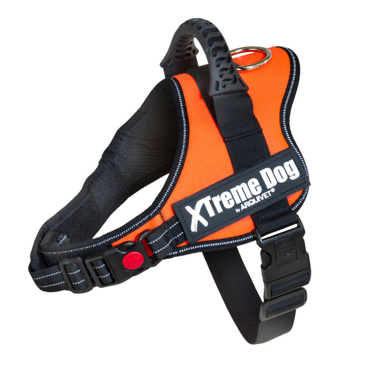 Arnés Xtreme Dog - Naranja neón